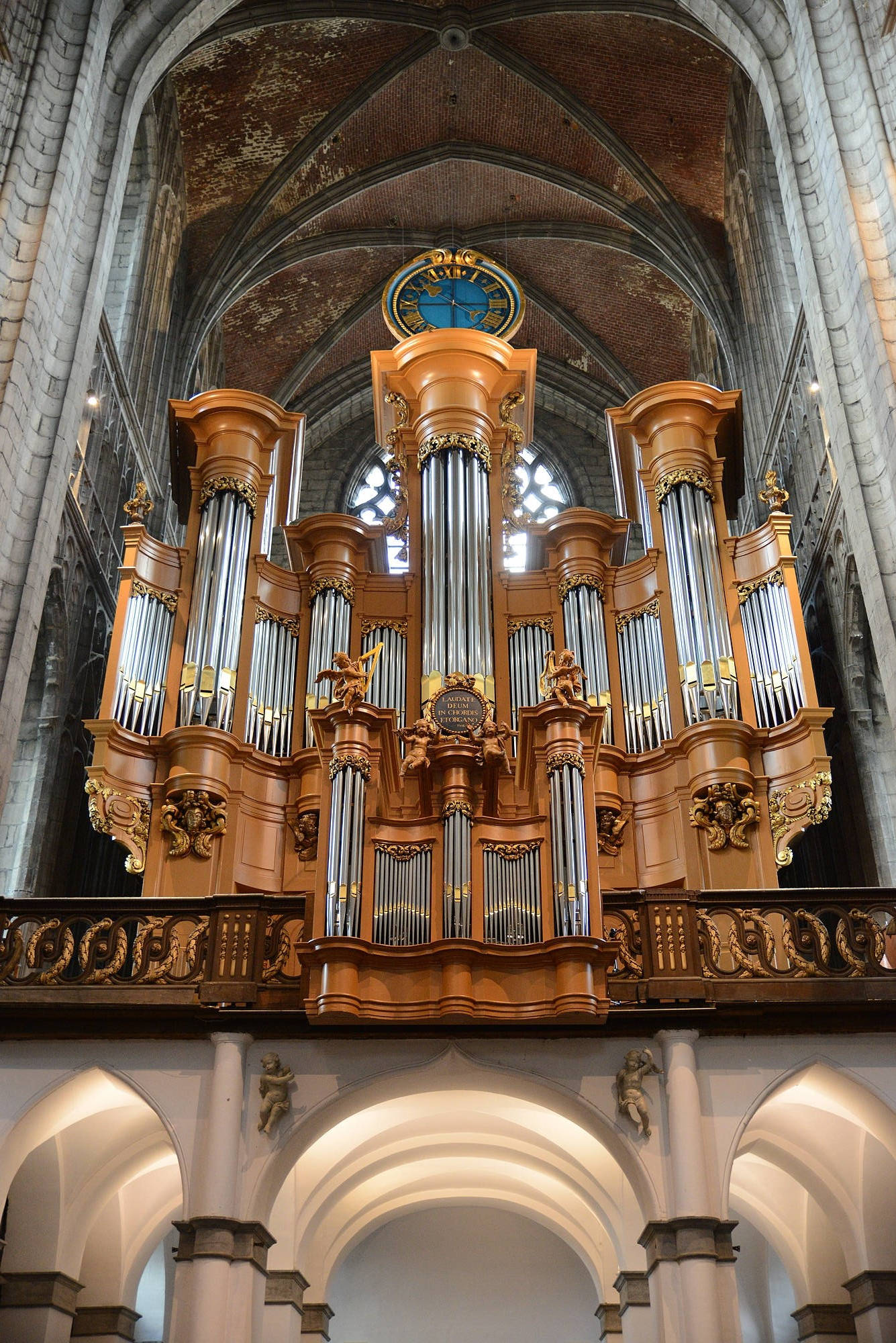 _klais/bilder/fotos/Artikel/Mons/Mons7.JPG
